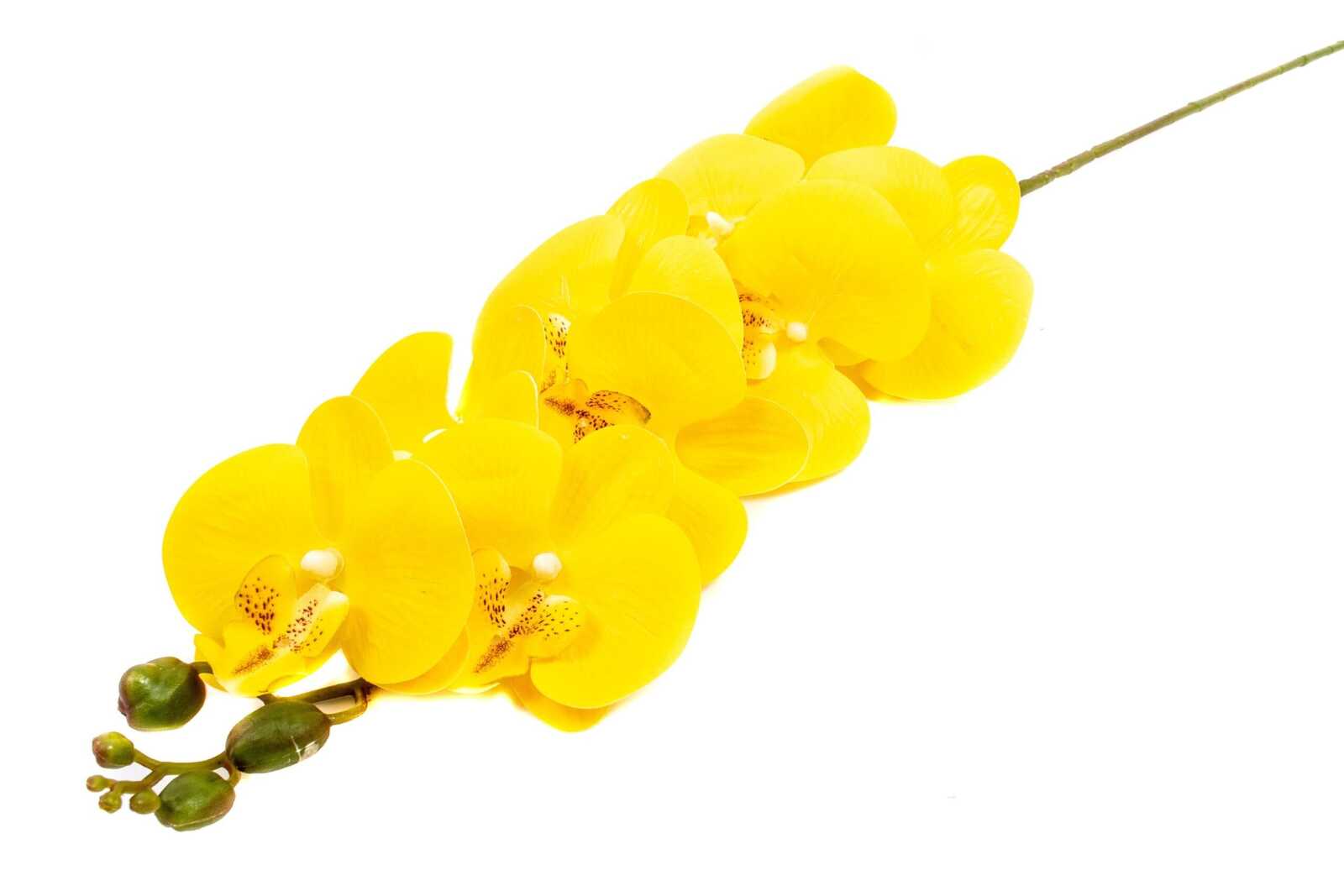 flori-artificiale-orhidee-galben-9fir