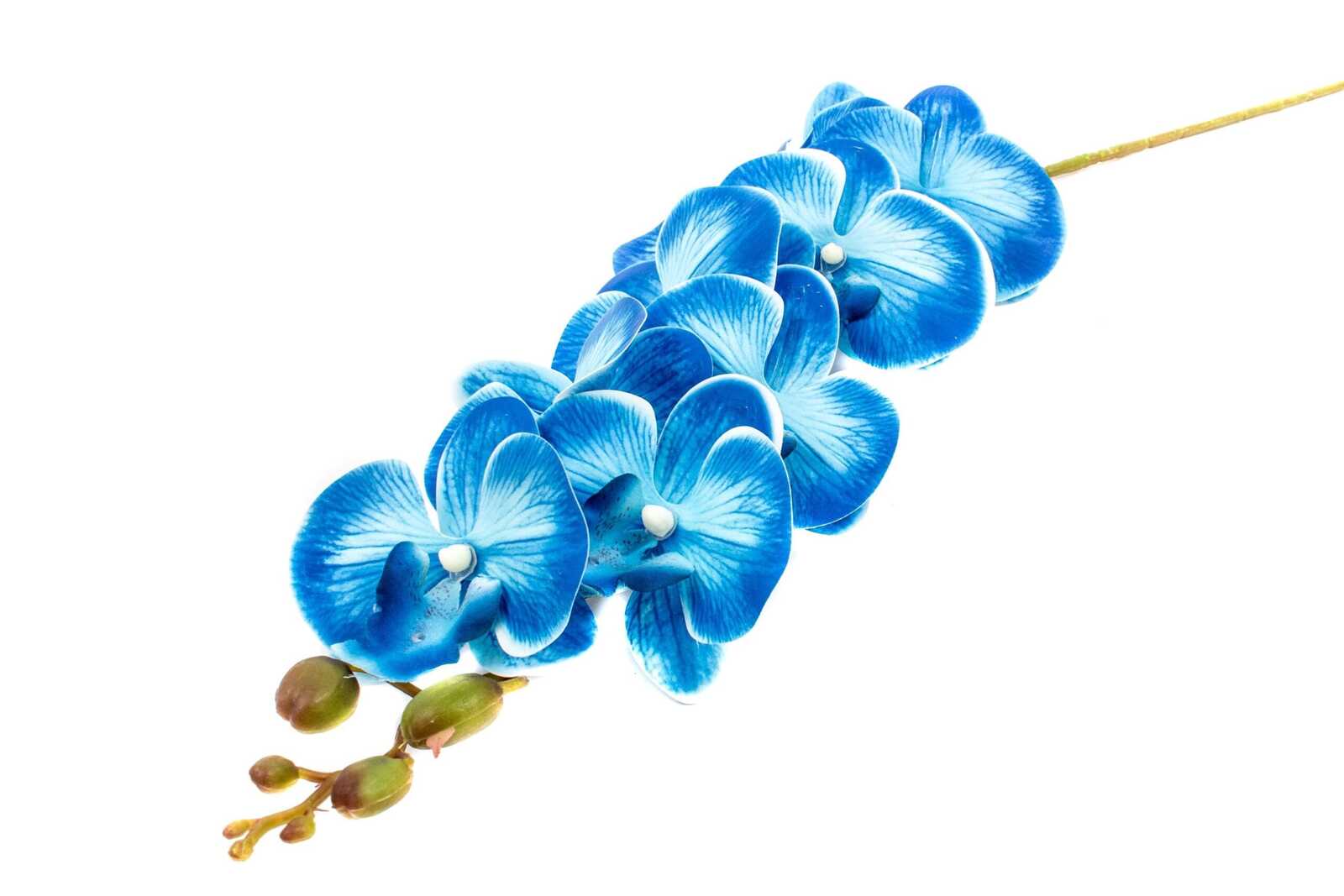 flori-artificiale-orhidee-albastru-9fir