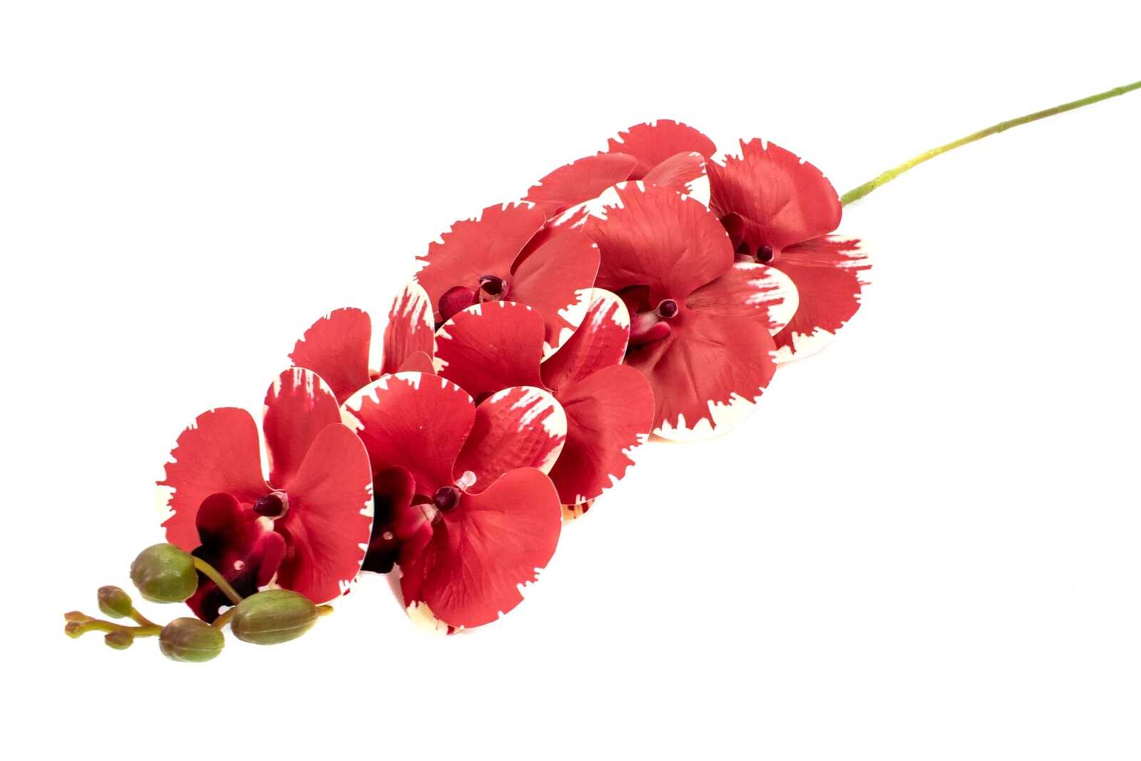 flori-artificiale-orhidee-grena-cu-crem-9fir