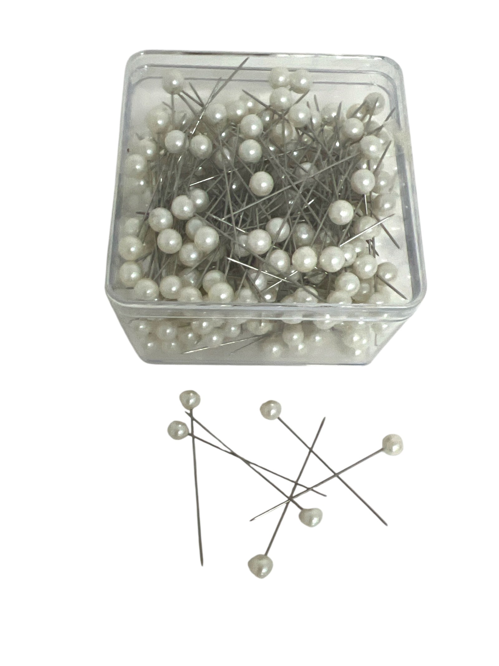 Photoroom_20241216_193503