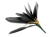 frunze-artificiale-de-orhidee-cu-radacina-7buchet