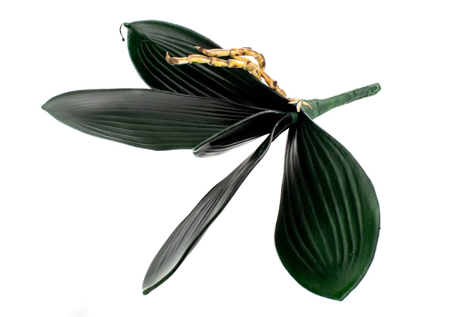 frunze-artificiale-de-orhidee-cu-radacina-5buchet