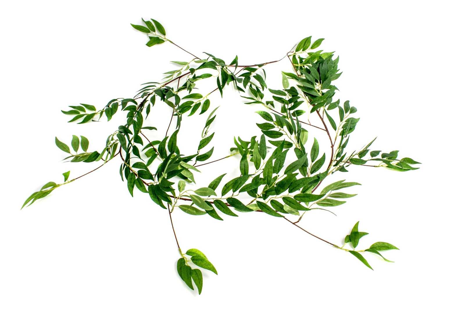 ghirlanda-artificiala-frunze-maslin-verde