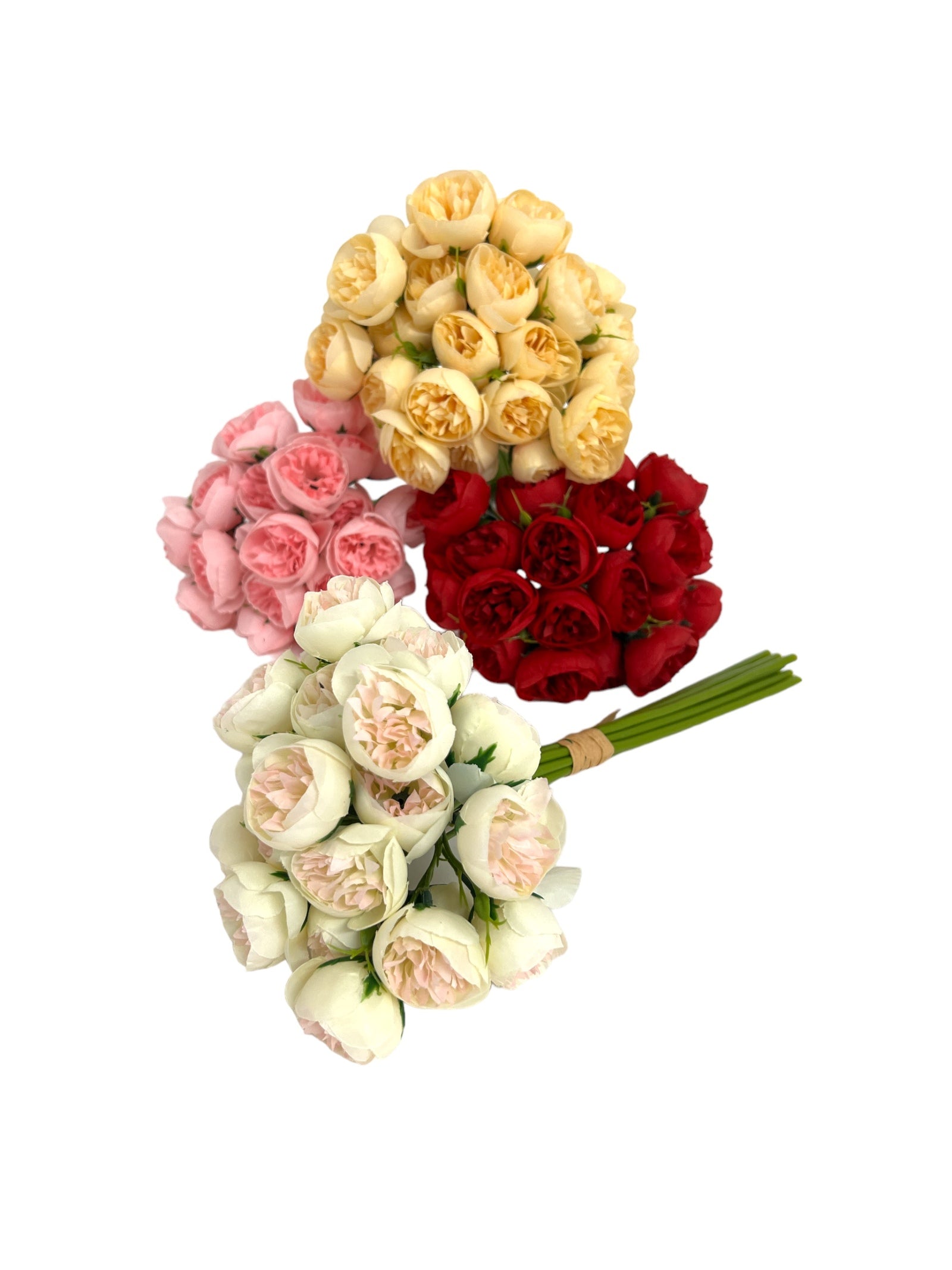 Photoroom_20240211_131921