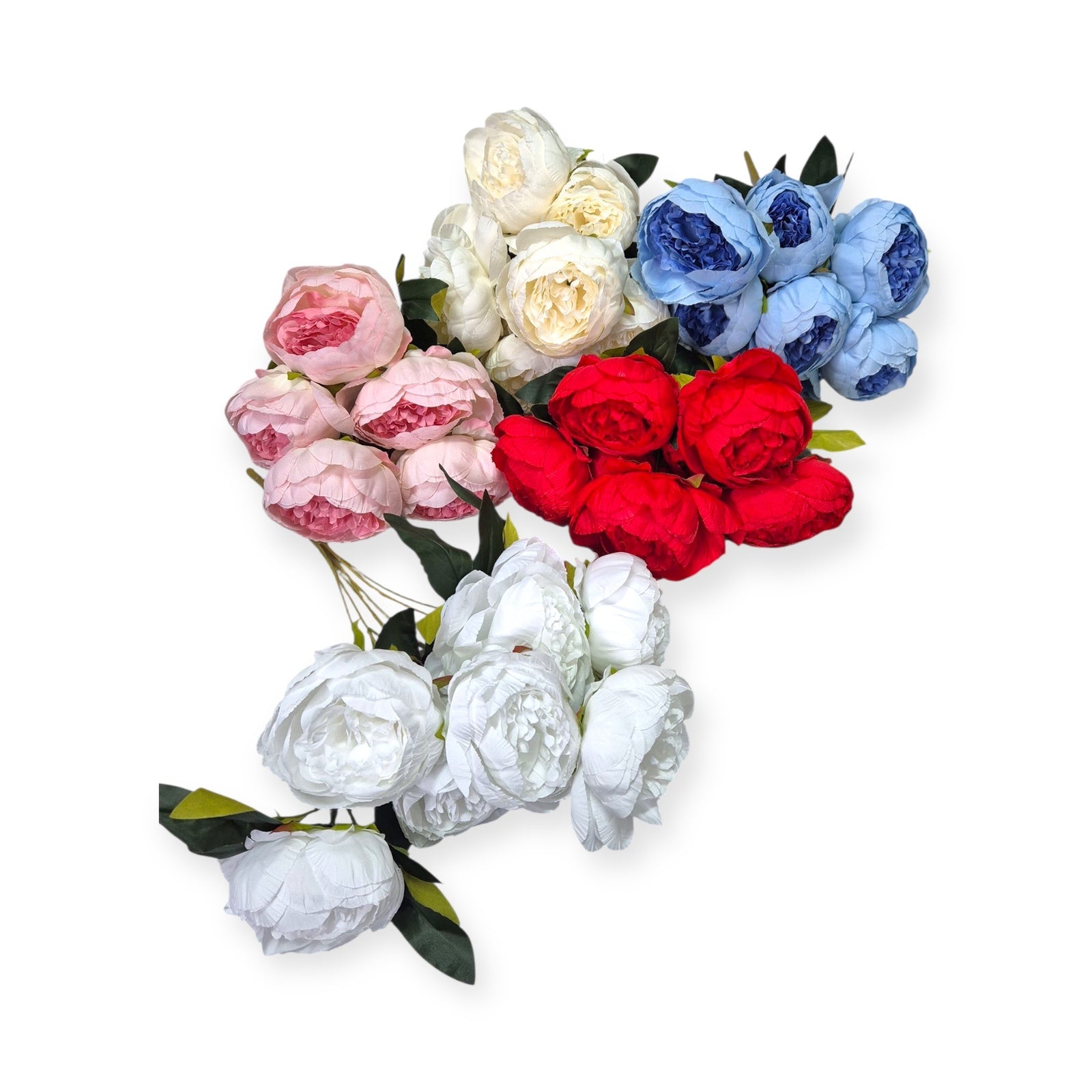 Photoroom_20251008_133450