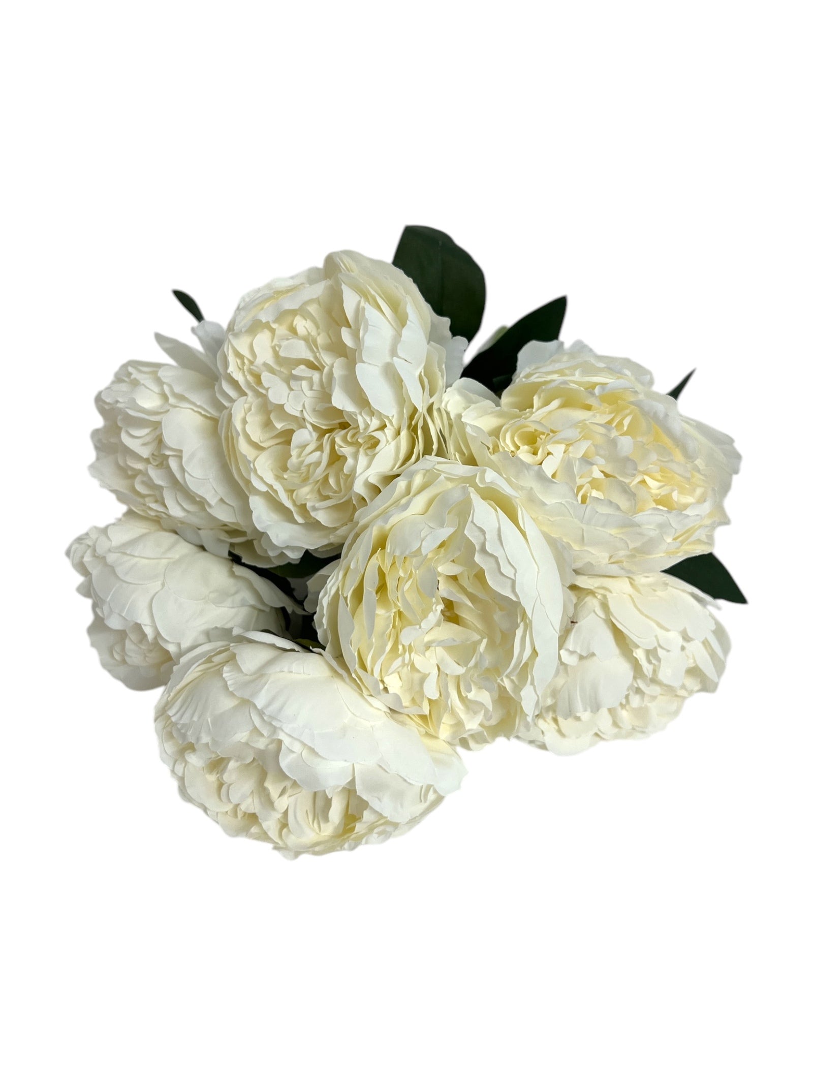 Photoroom_20250124_112303