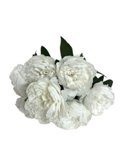 Photoroom_20250124_112254