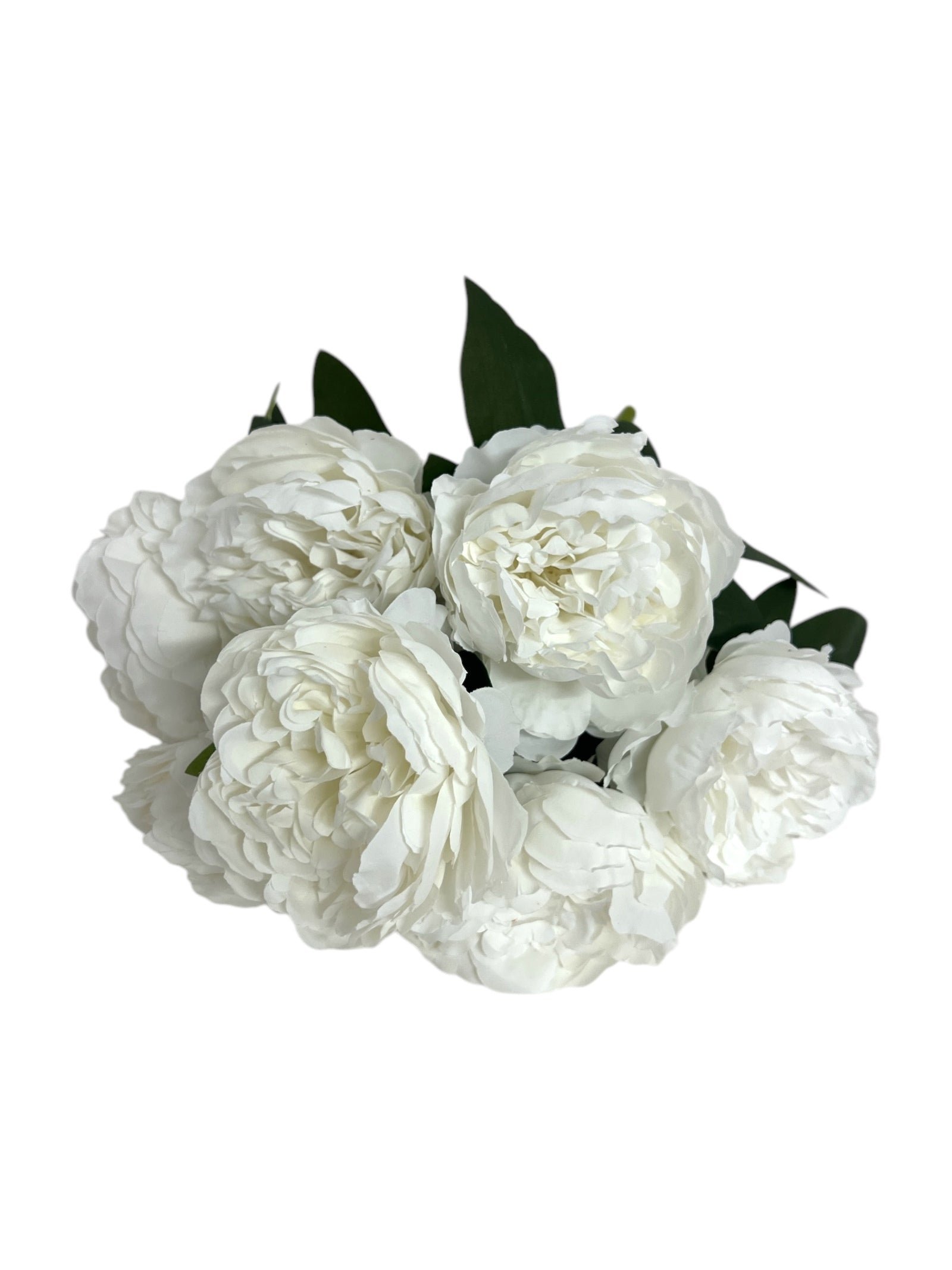 Photoroom_20250124_112254