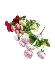 Photoroom_20250208_113737