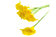 flori-artificiale-fir-cale