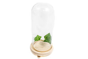 cupole-cu-suport-natur-cu-picioruse-225-cm
