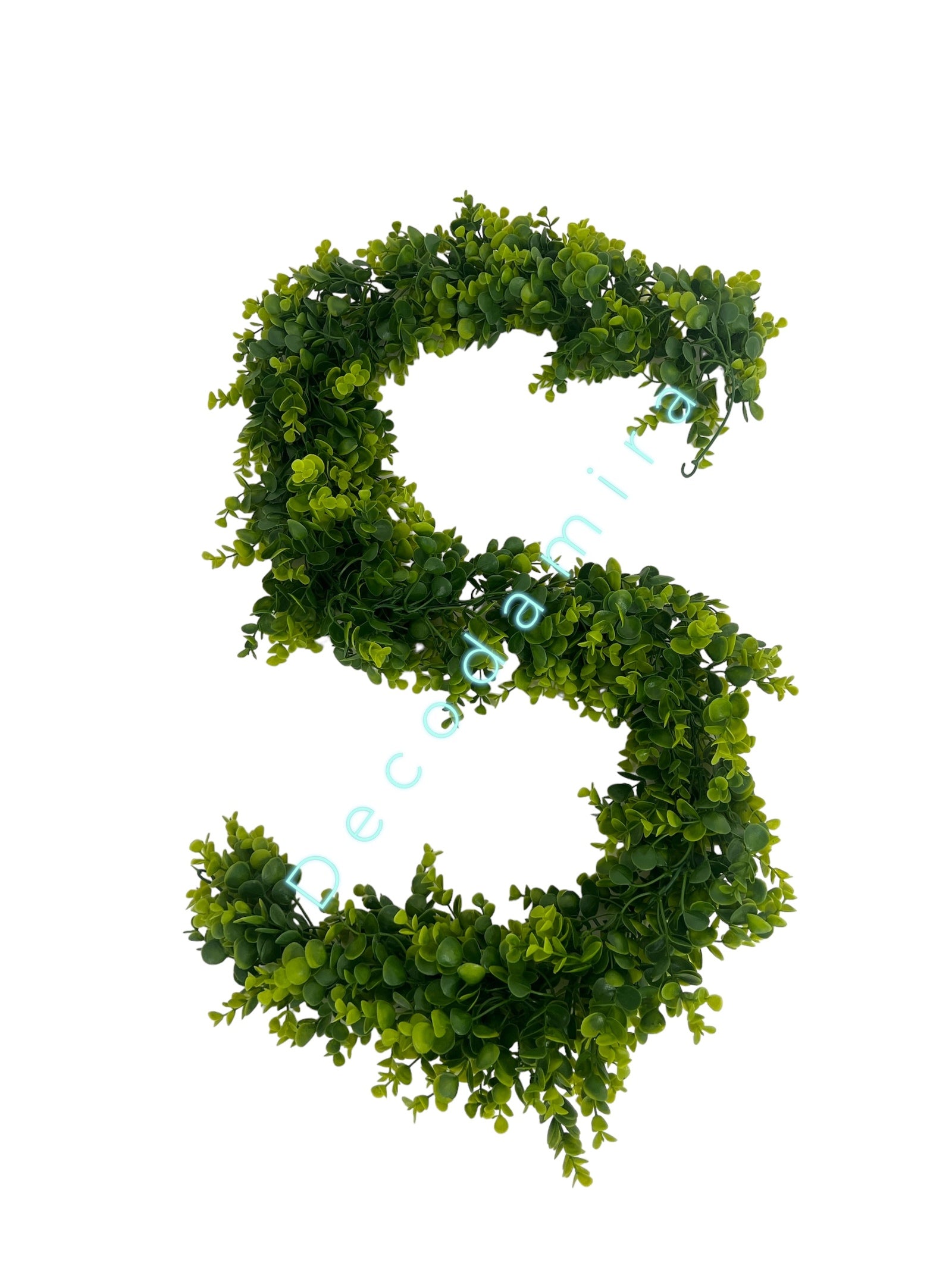 Photoroom_20240606_122906