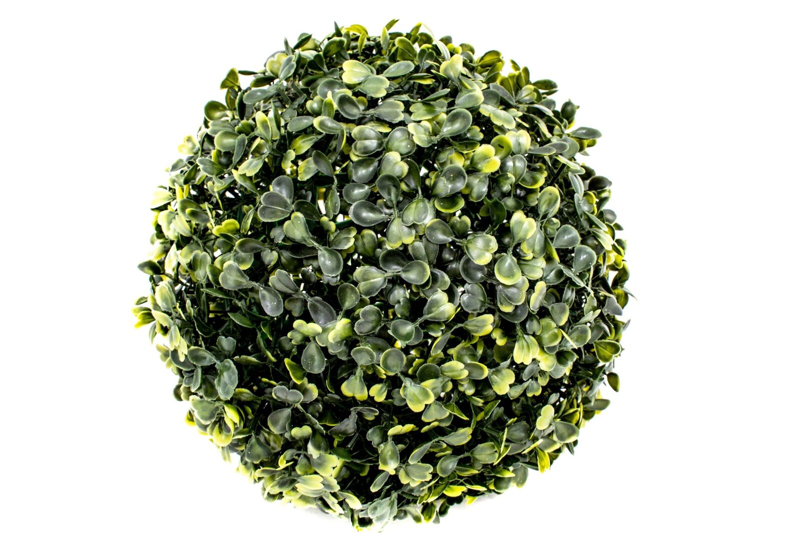 bile-verdeata-buxus-48-cm