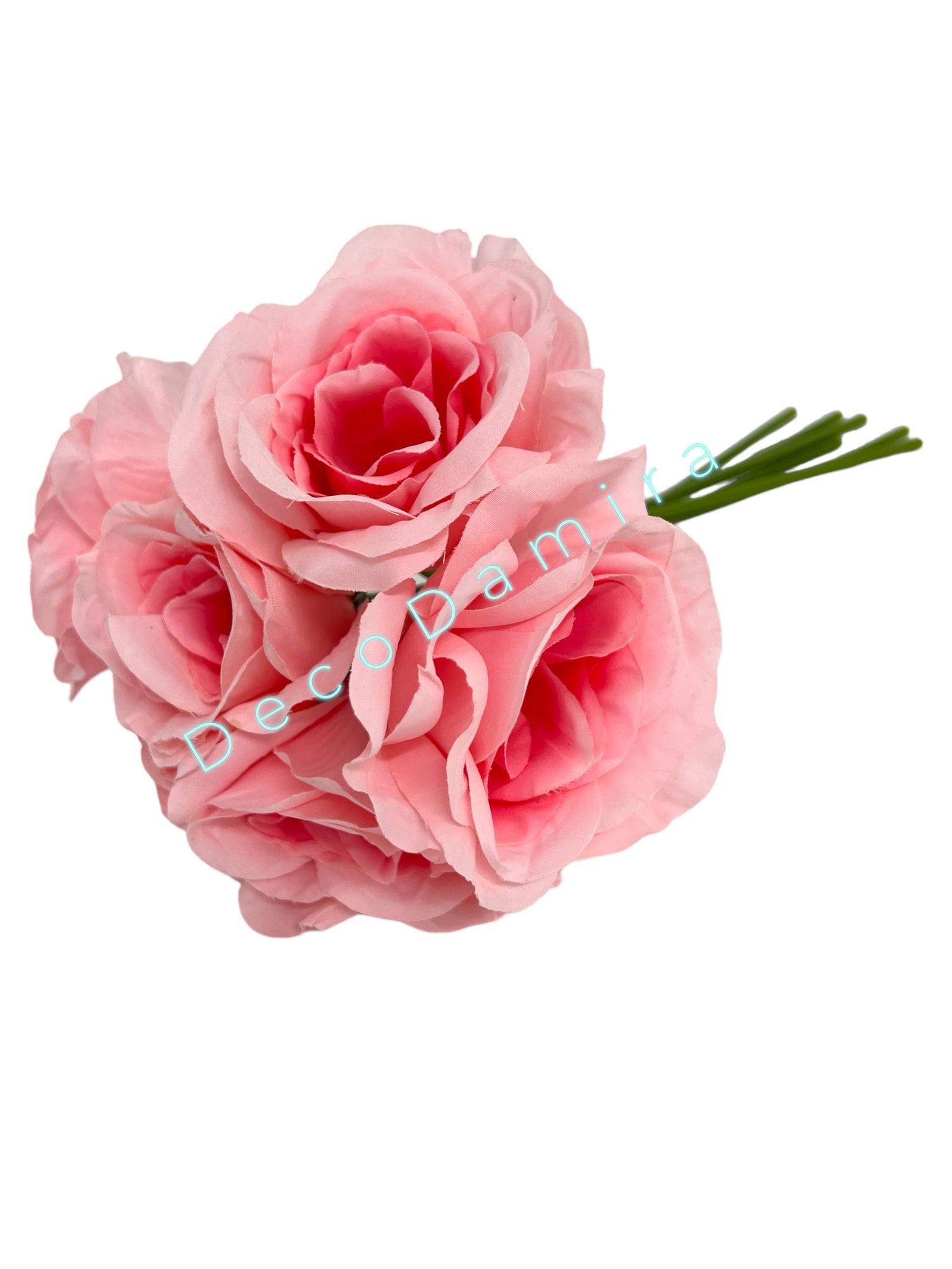 Photoroom_20240215_143054