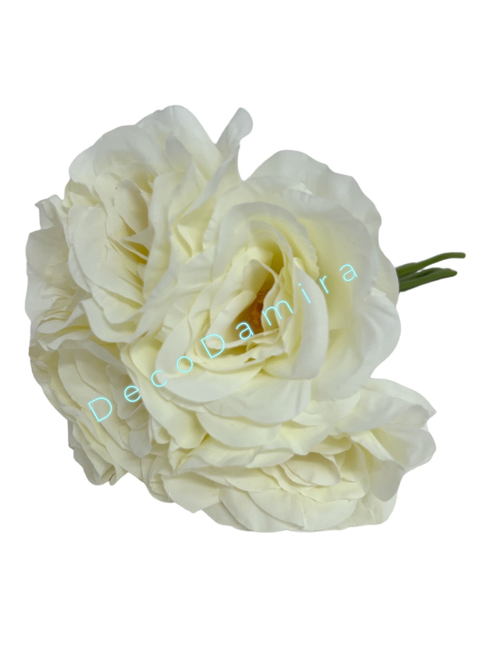 Photoroom_20240215_142659