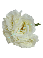 Photoroom_20240215_142659