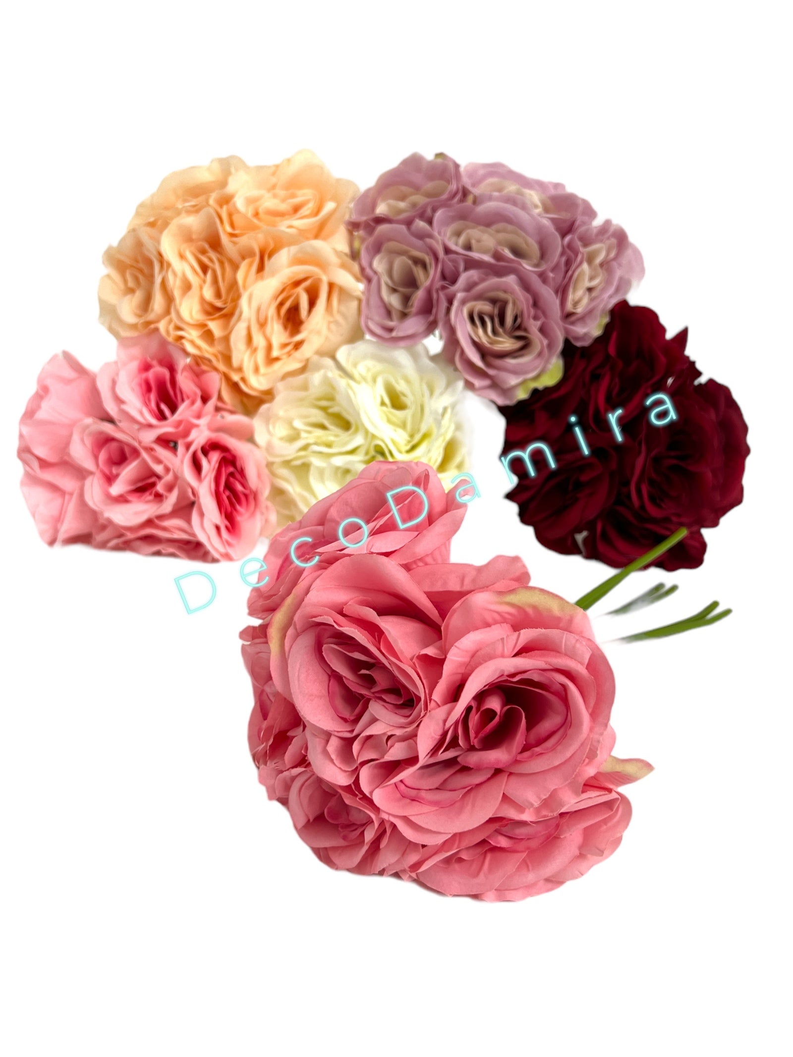 Photoroom_20240215_142426