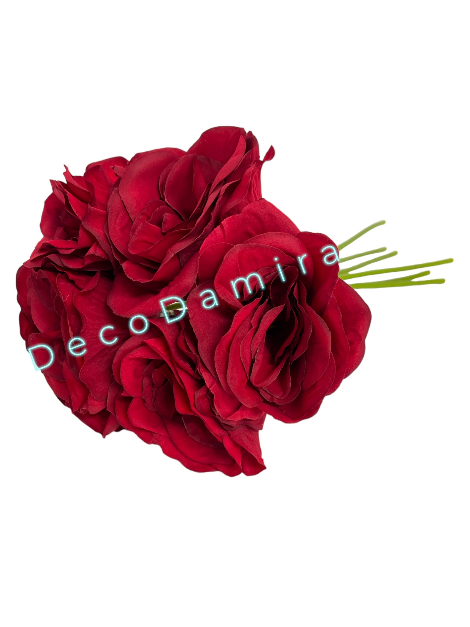 Photoroom_20240215_150214