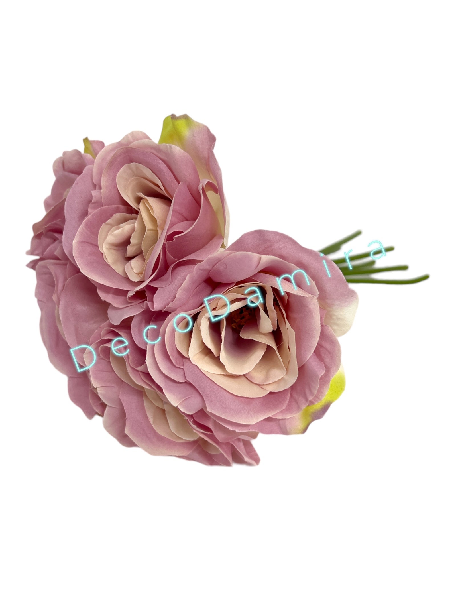 Photoroom_20240215_150047