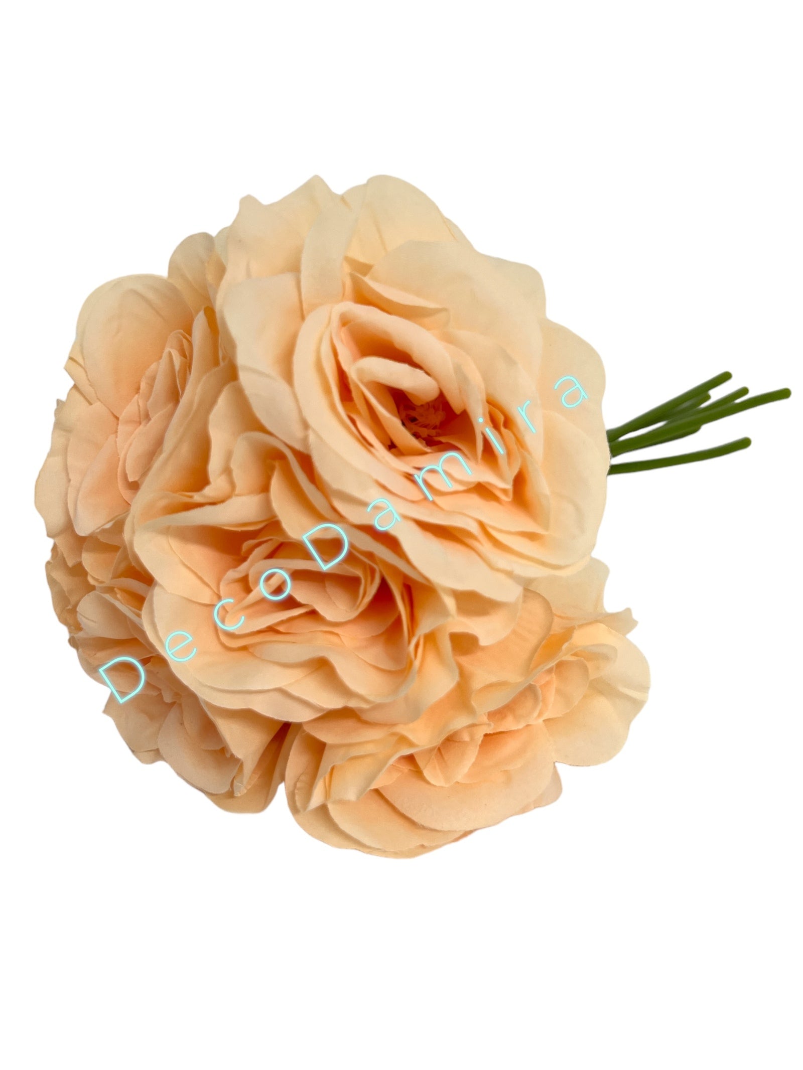 Photoroom_20240215_142829