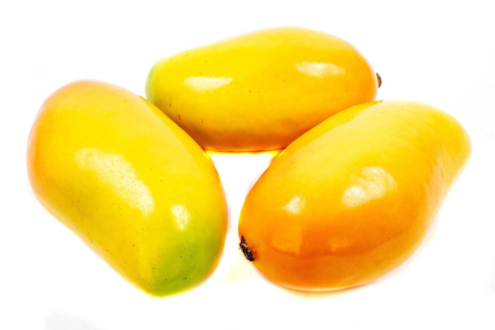 fructe-artificiale-kaki-plastic