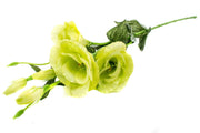 flori-artificiale-lisianthus-verde