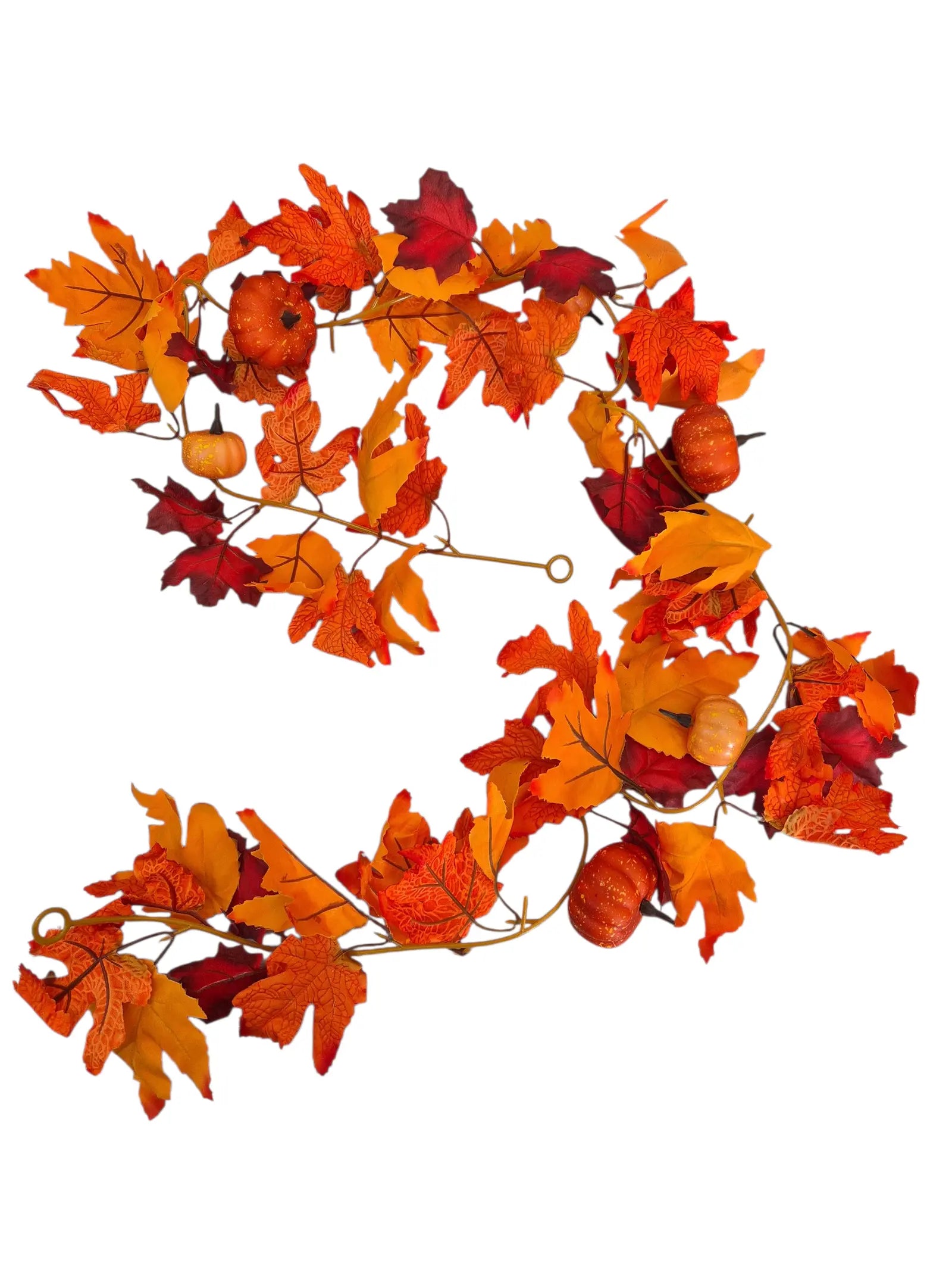 IMG_3196487975888416061