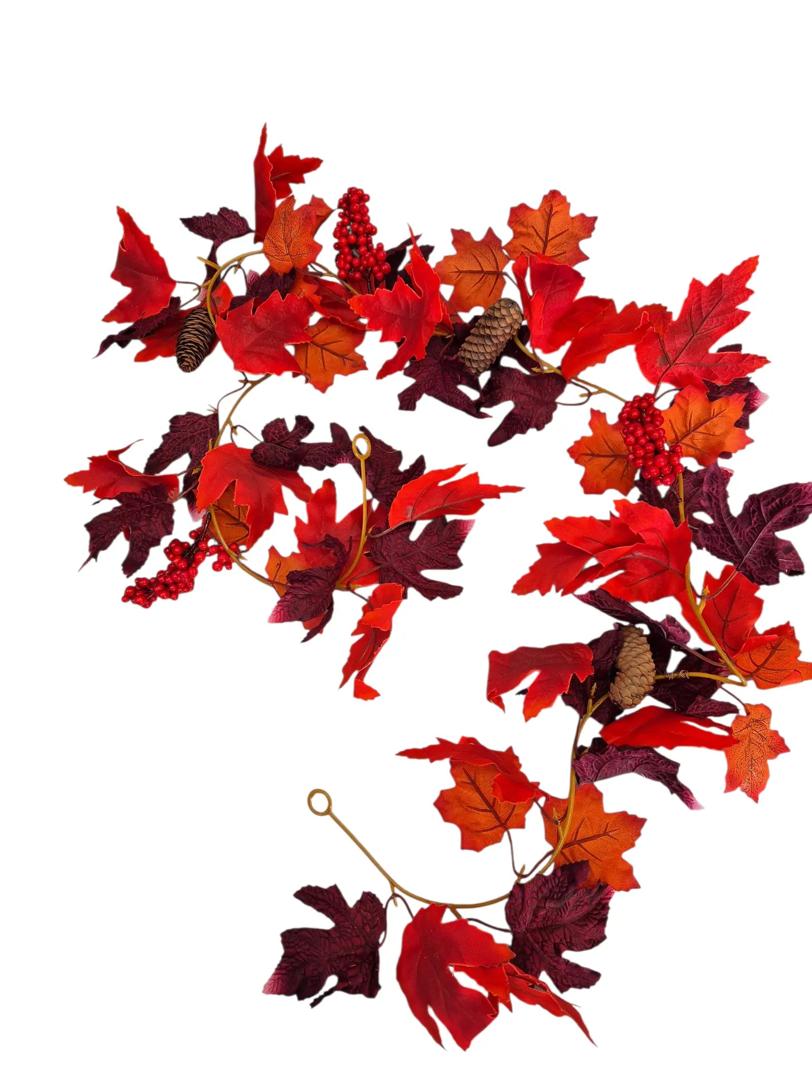 IMG_2460942582246522705