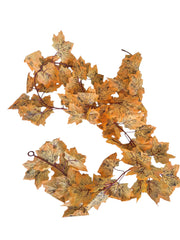 IMG_6939632819512331703