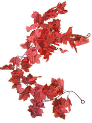 IMG_2943835464829371234