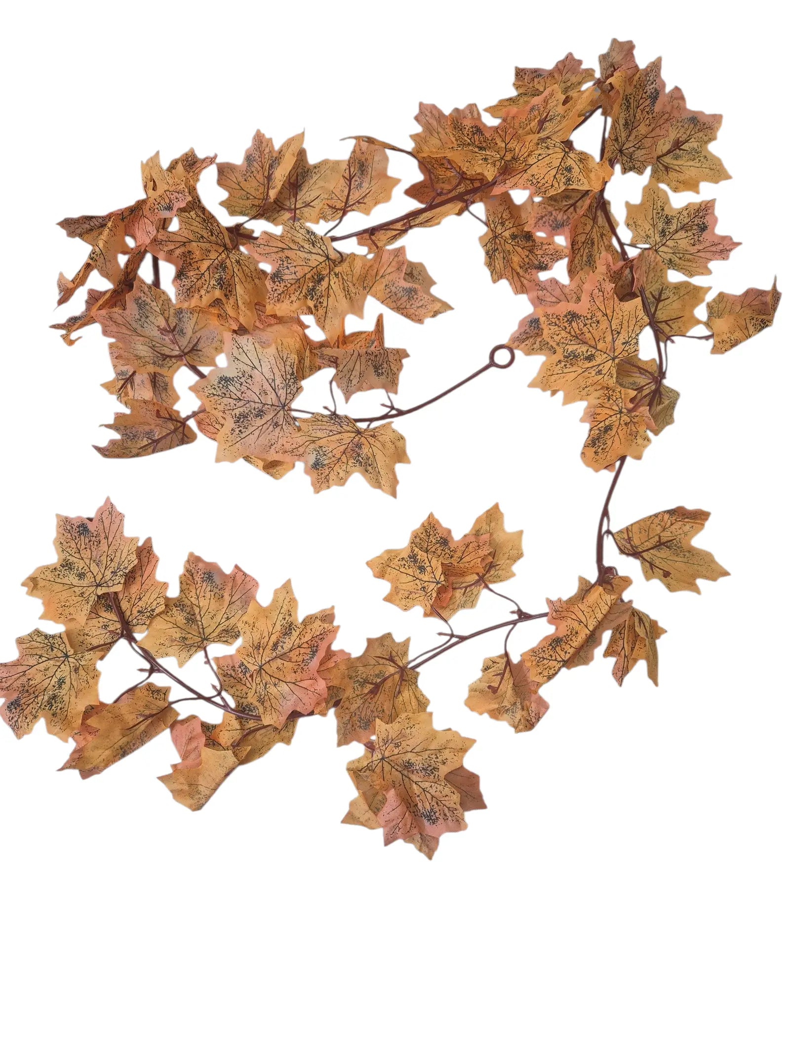 IMG_7329566561754411774