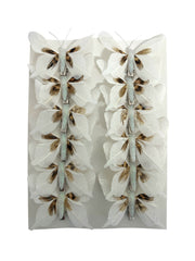 Photoroom_20250121_161605 4