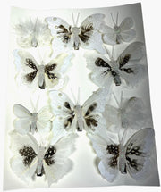 fluturi-decorativi-din-pene-colorate-alb-cu-negru-10set