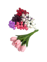 Photoroom_20240213_153029