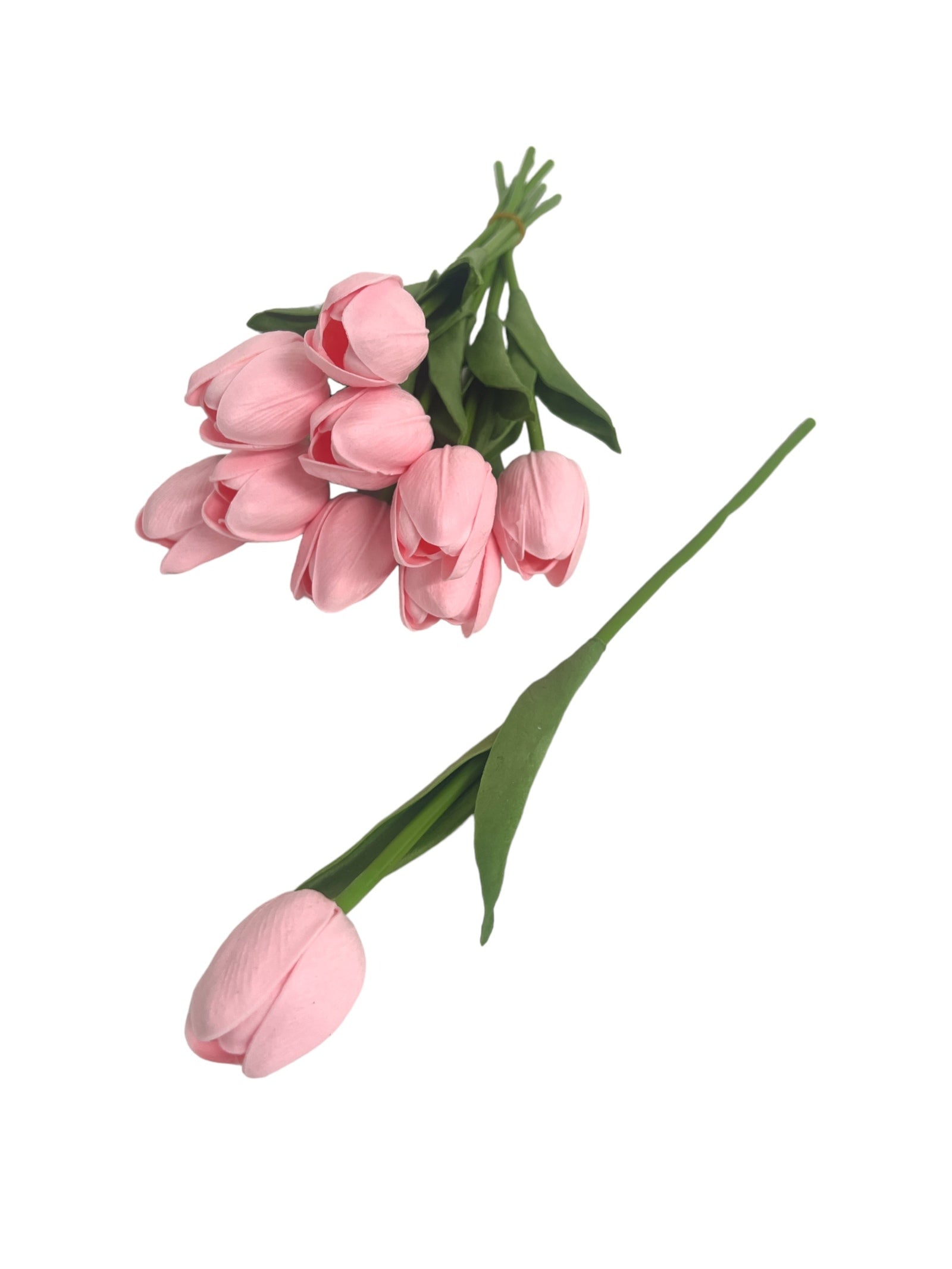 Photoroom_20240213_153208