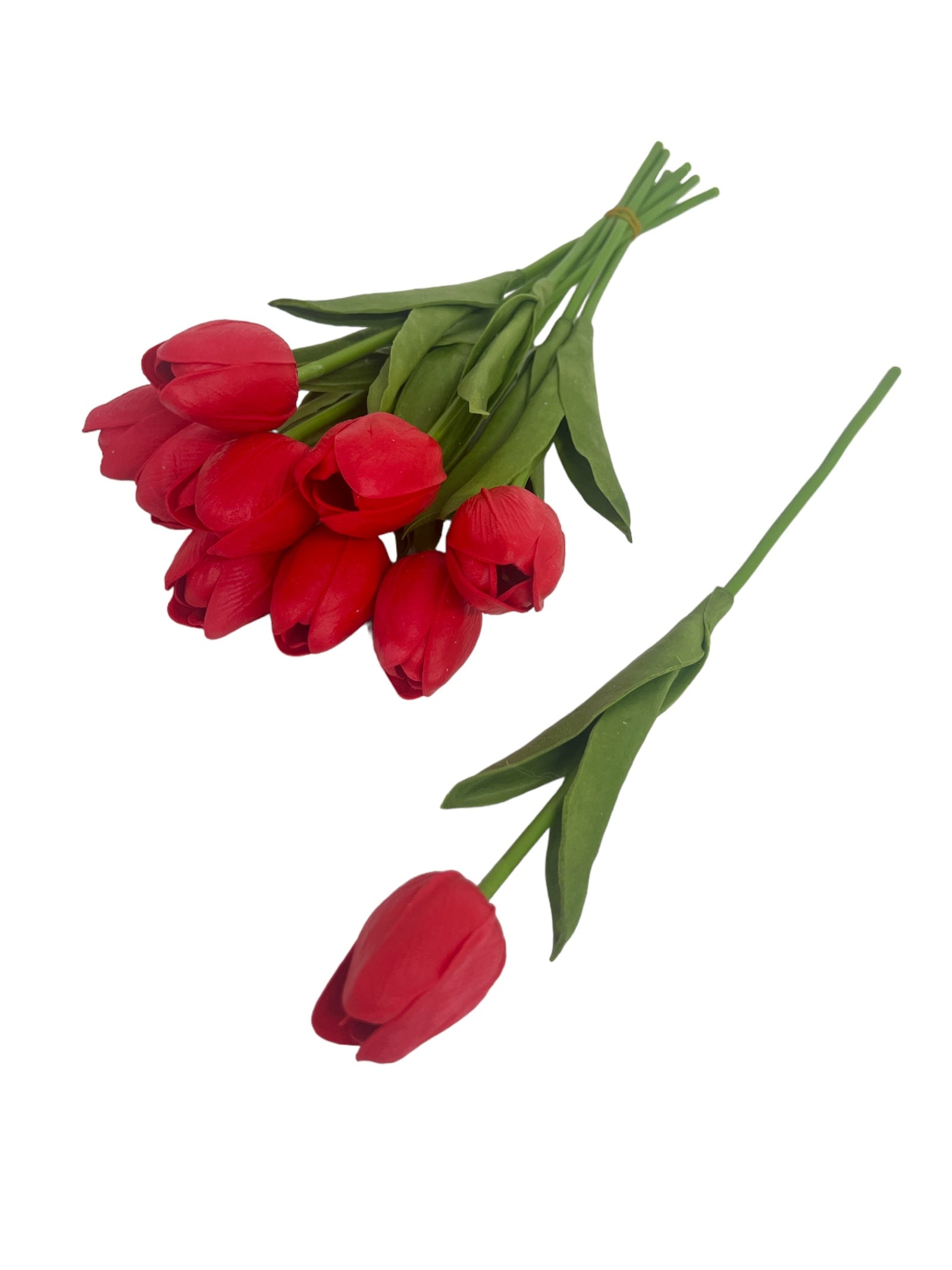 Photoroom_20240213_153447