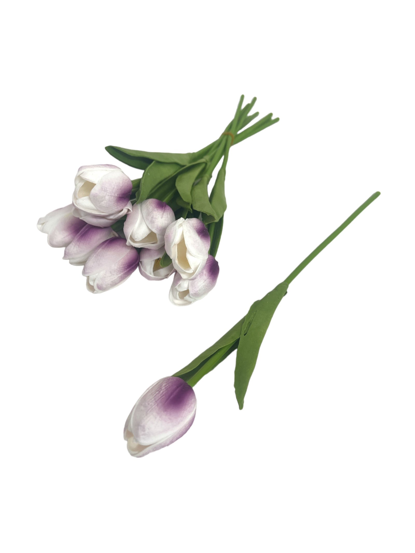 Photoroom_20240213_153654