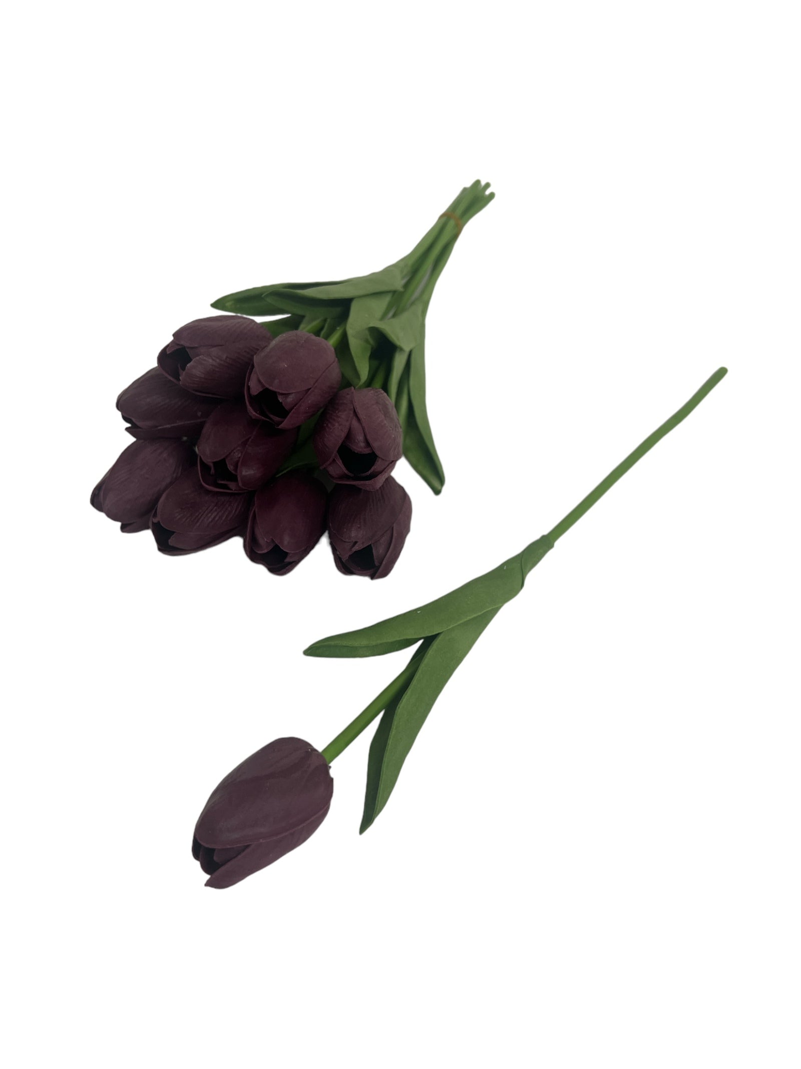 Photoroom_20240213_153854