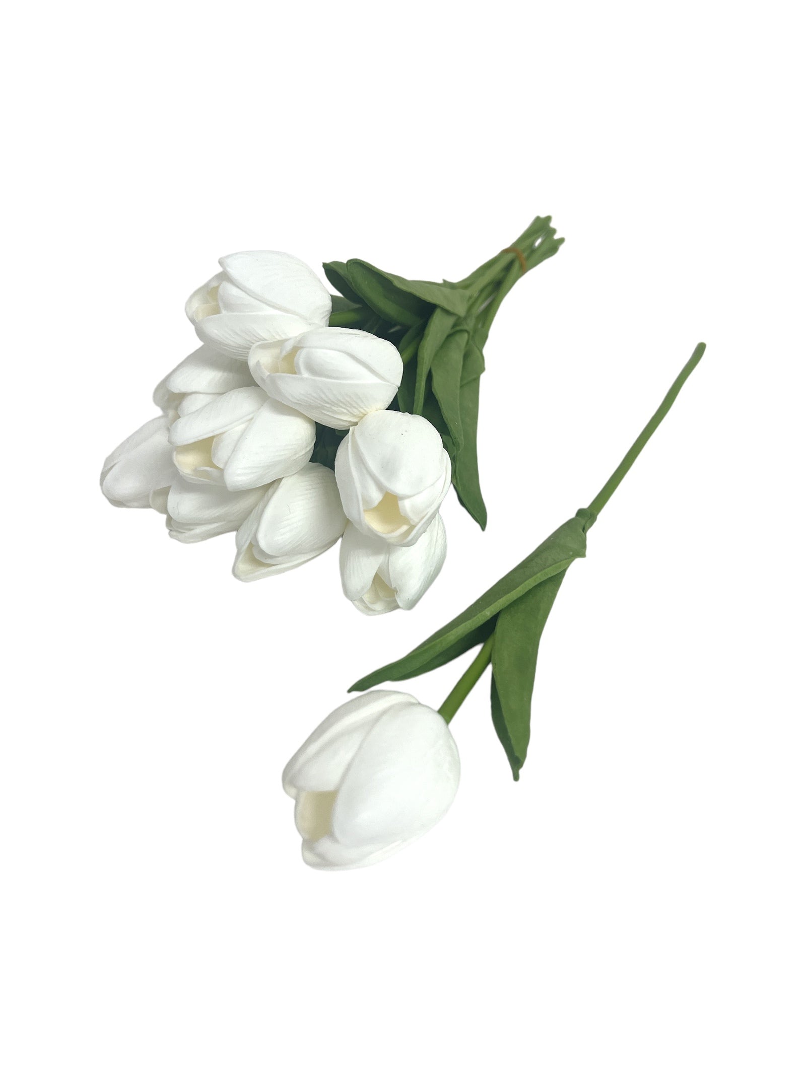 Photoroom_20240213_154006