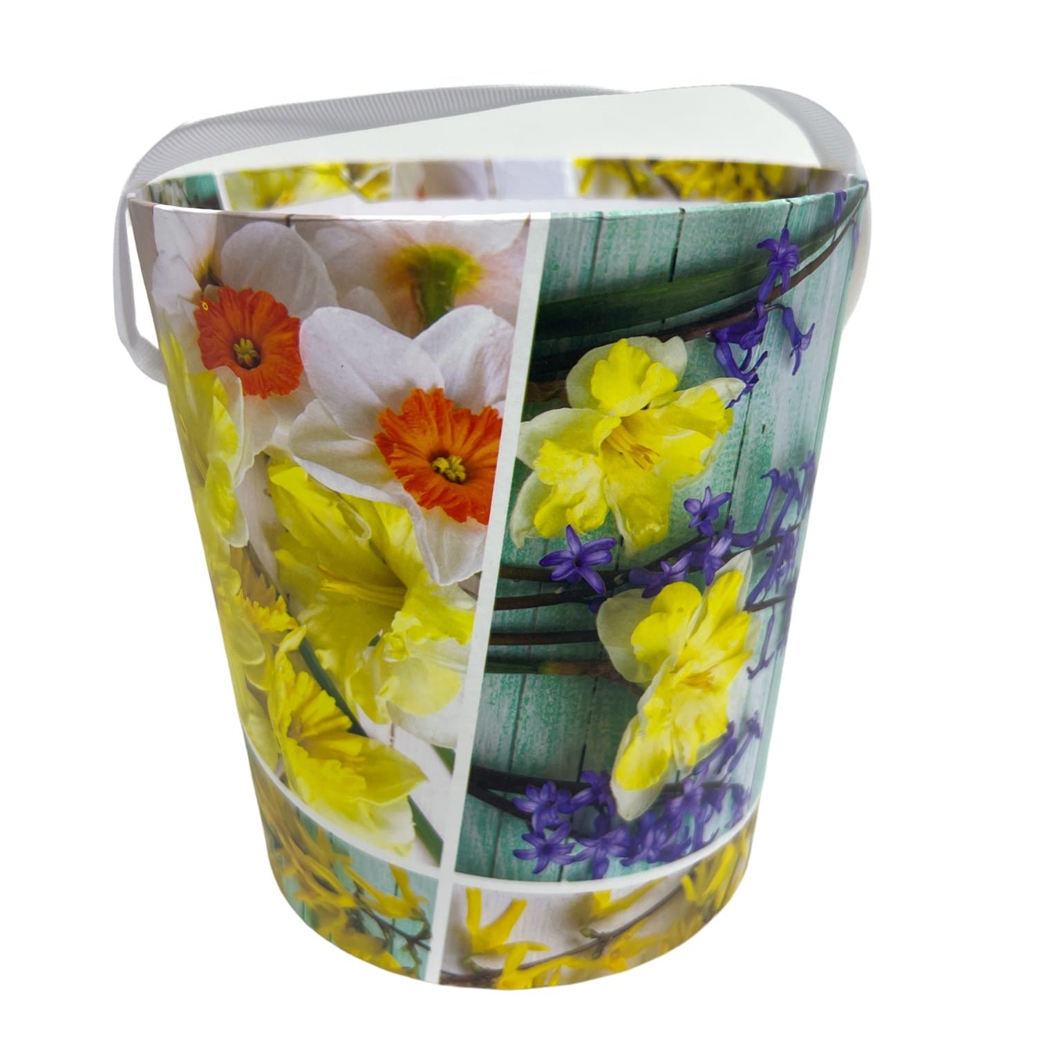 cutie-carton-tip-ghiveci-cu-narcise-si-zambile