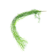 flori-artificiale-numita-sirul-de-banane