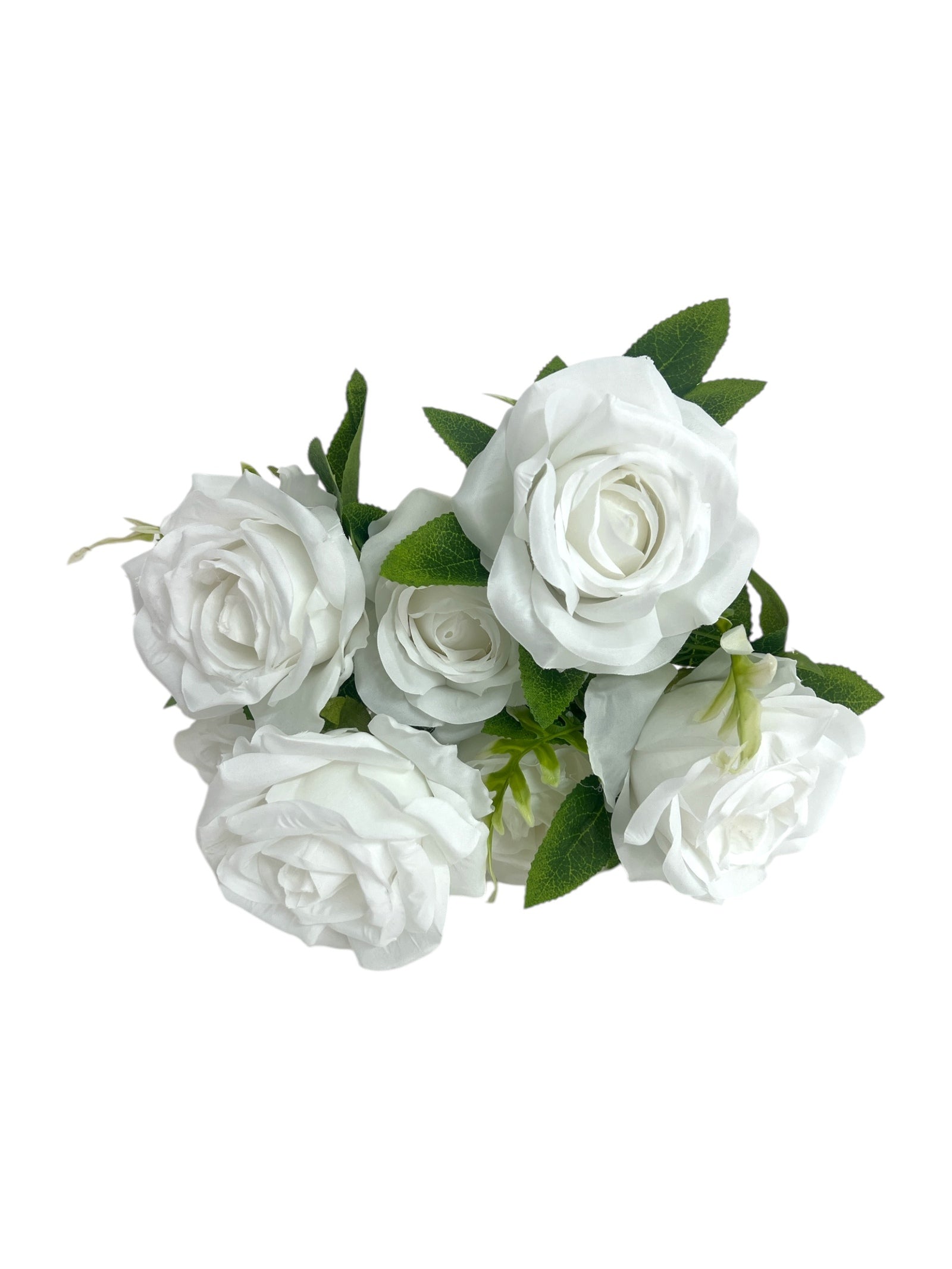 Photoroom_20250312_162720