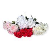 Photoroom_20251008_202001