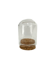 Photoroom_20240210_131319