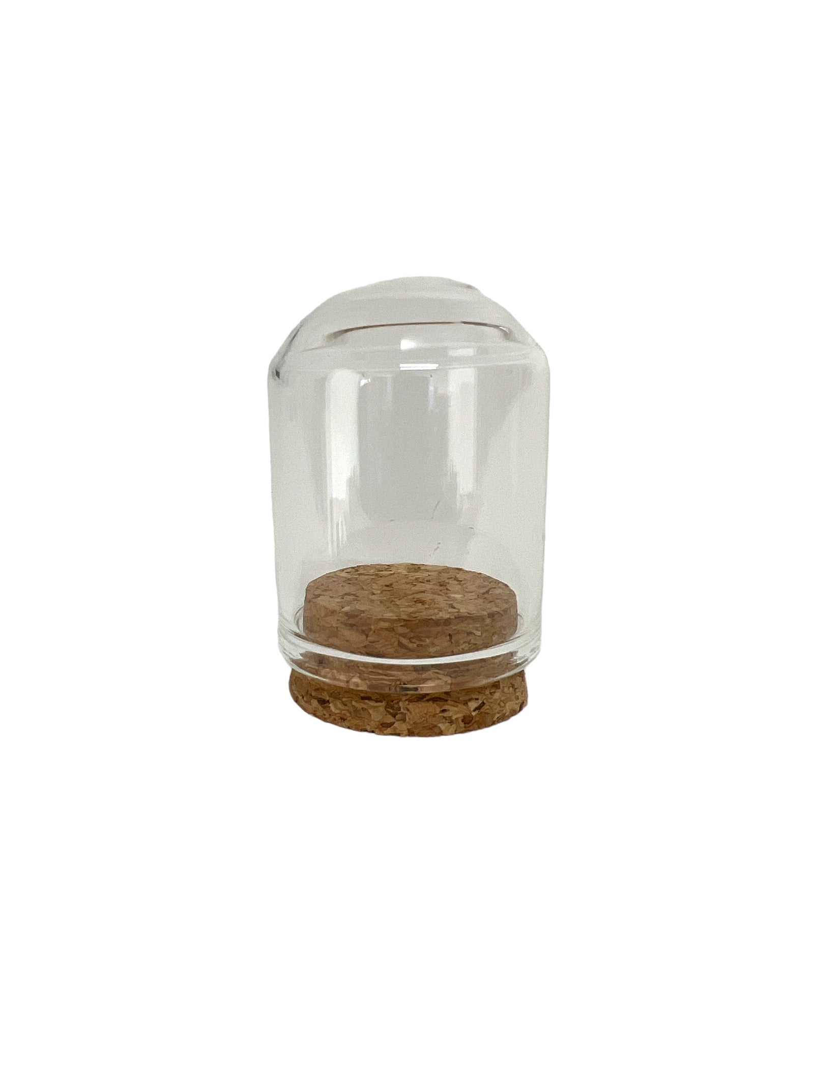 Photoroom_20240210_131319