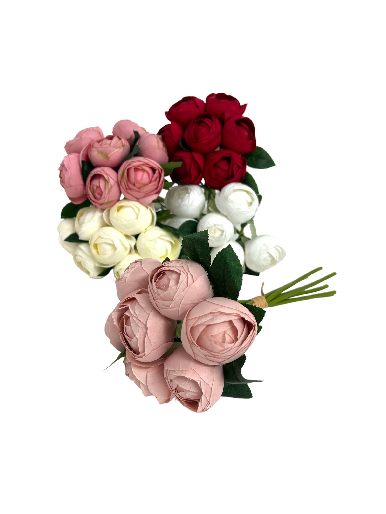 Photoroom_20240211_132452