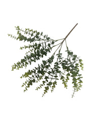 PhotoRoom_20231024_101348