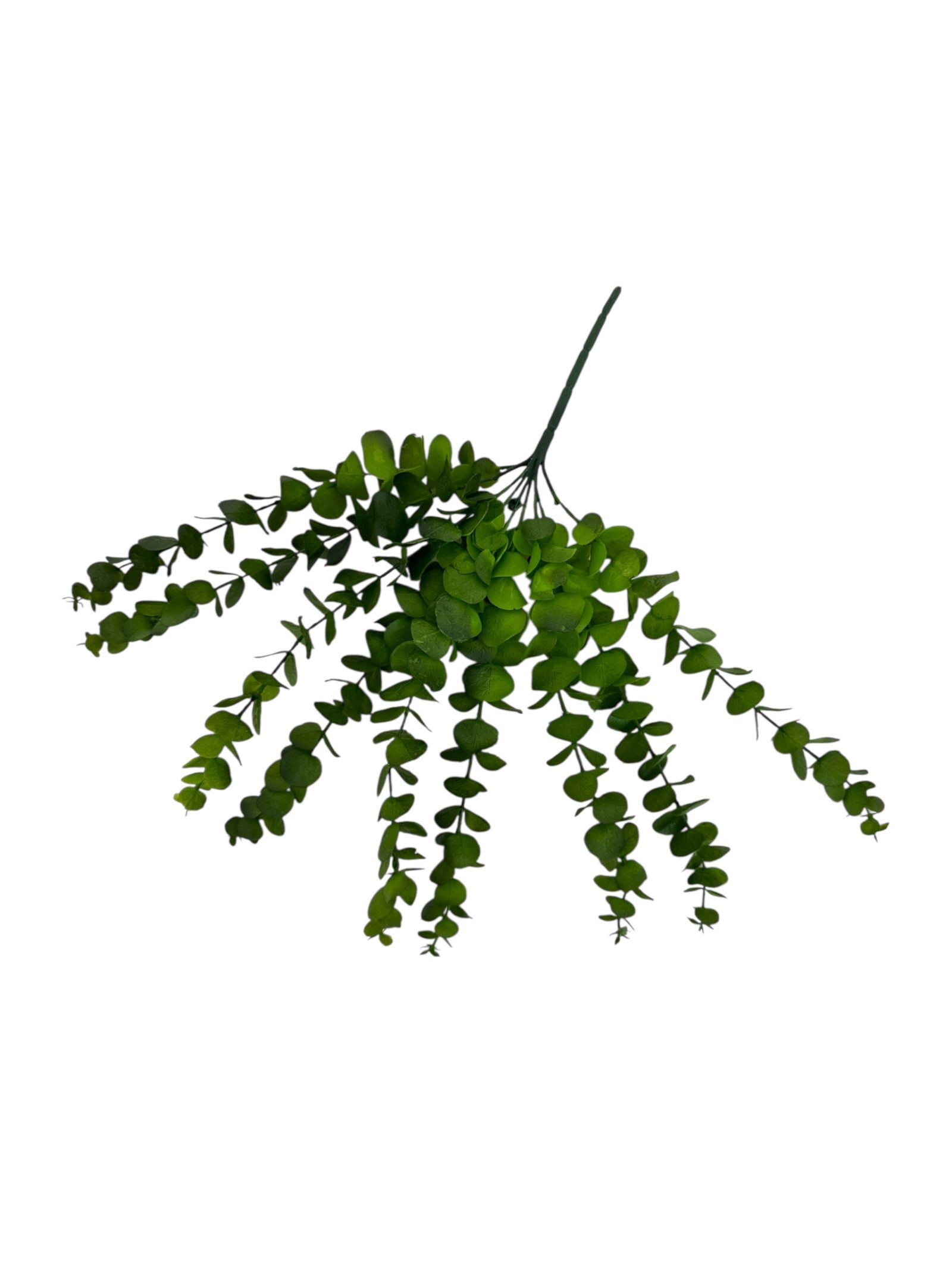 Photoroom_20250613_161152