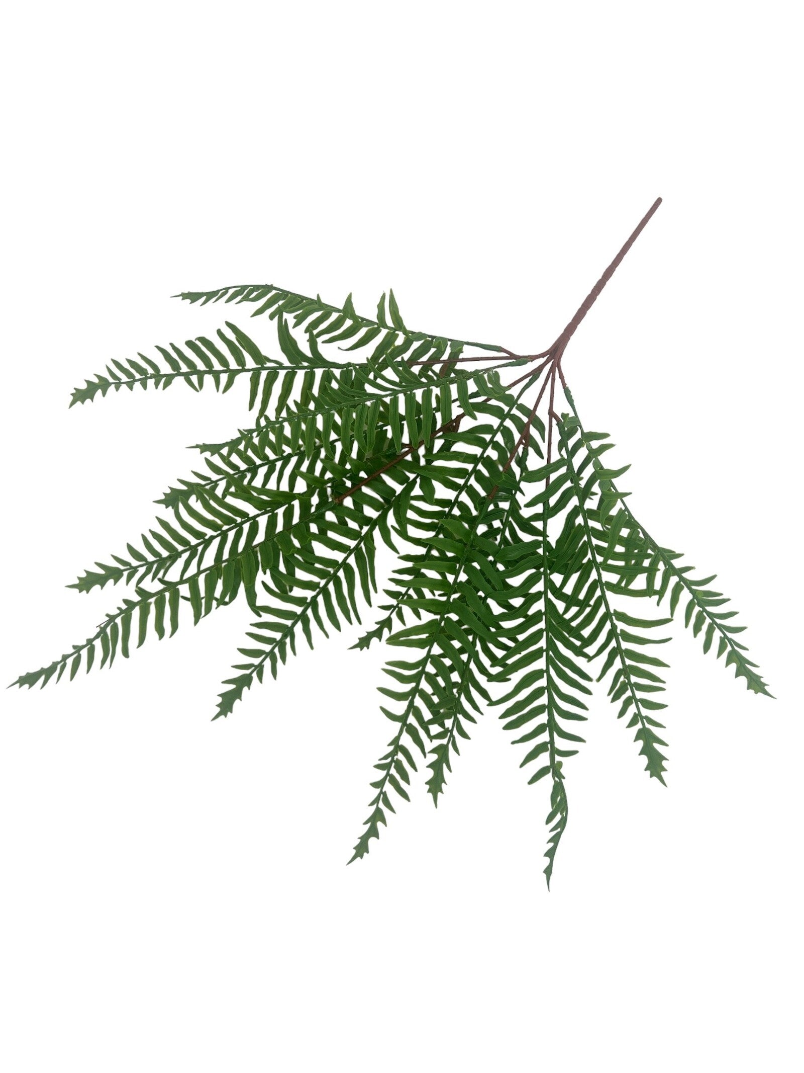 flori-artificiale-feriga-din-silicon-subtirica