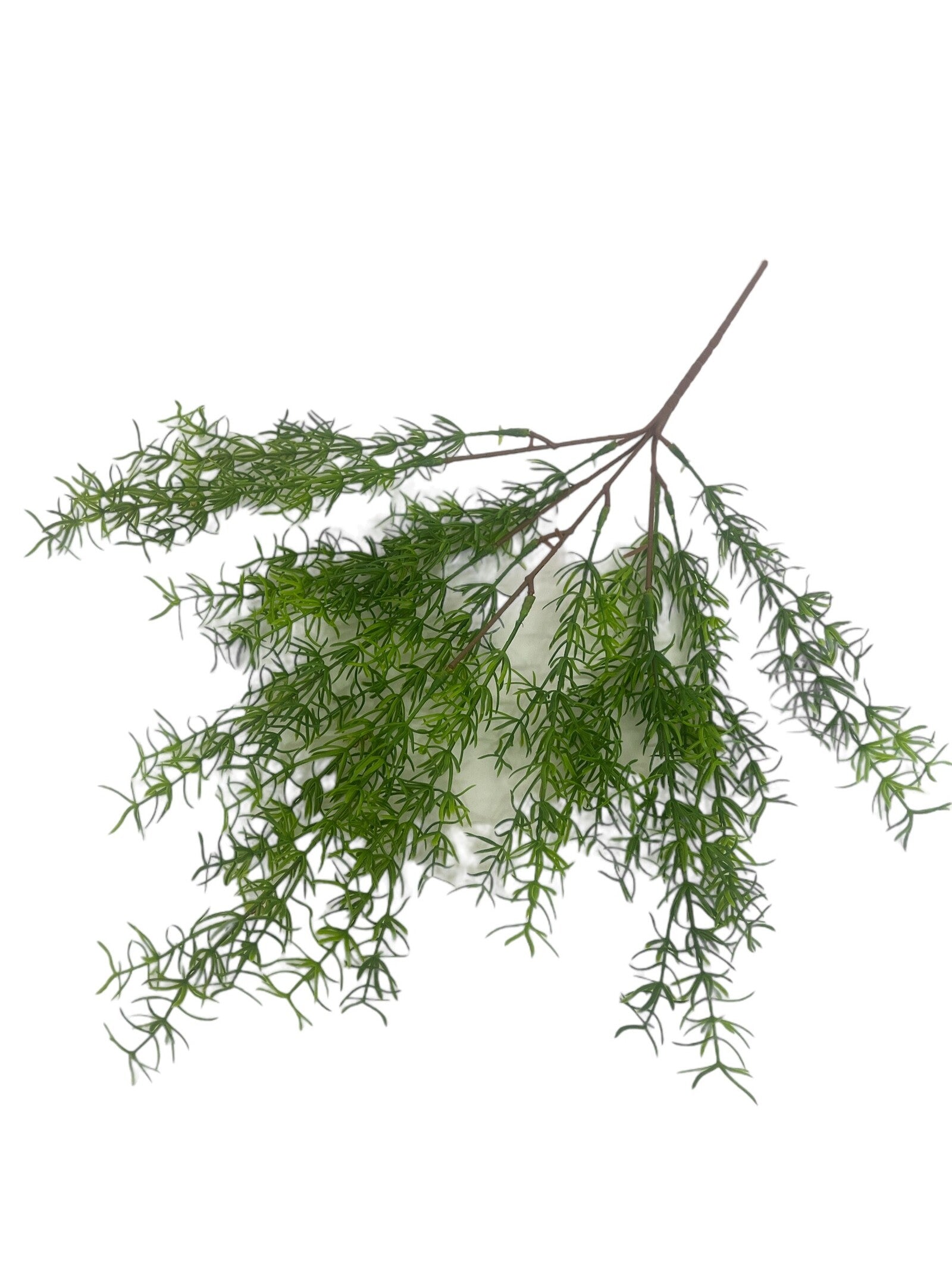 flori-artificiale-asparagus-din-silicon